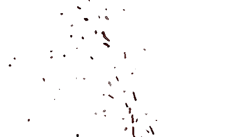 Burning Embers
